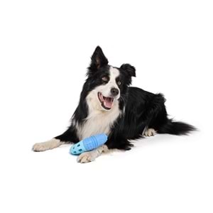 10645699 M-PETS VICE VERSA BOOMERANG TAVUK AROMALI KÖPEK OYUNCAĞI