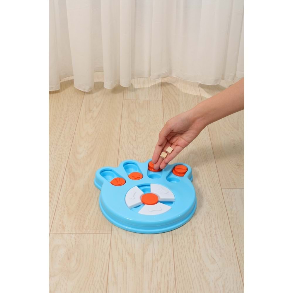 10649999 M-PETS BRAINY GAMES DARWIN - PUZZLE 1.SEVİYE