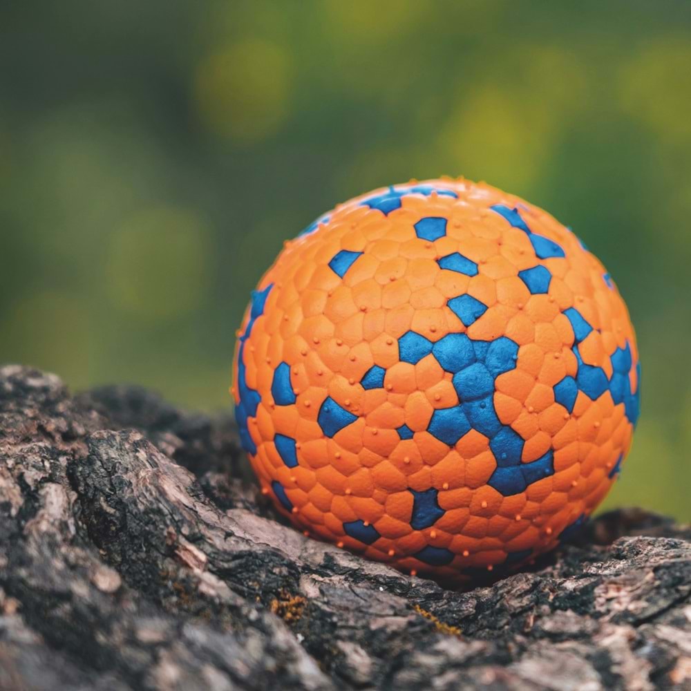 10650899 M-PETS BLOOM BALL OYUN TOPU PARÇALANMAZ ORANGE/BLUE