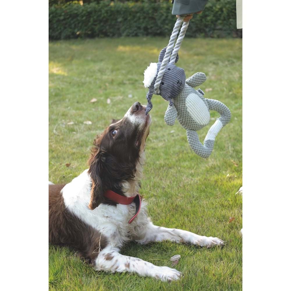 10657099 M-PETS ECO CHEWTOPIA SHEEP KÖPEK OYUNCAĞI
