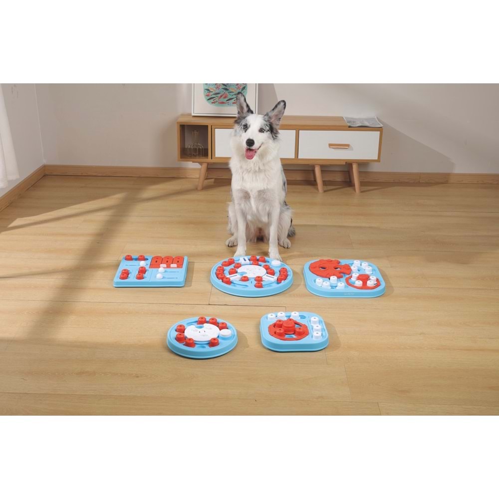 10658399 M-PETS BRAINY GAMES DA VINCI PUZZLE 2.SEVİYE