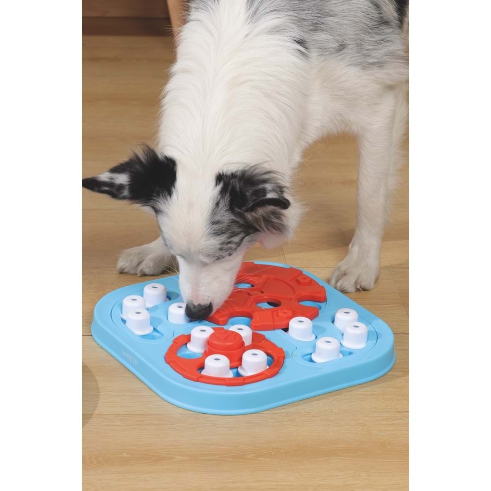 10658699 M-PETS BRAINY GAMES GALILEO PUZZLE 3.SEVİYE