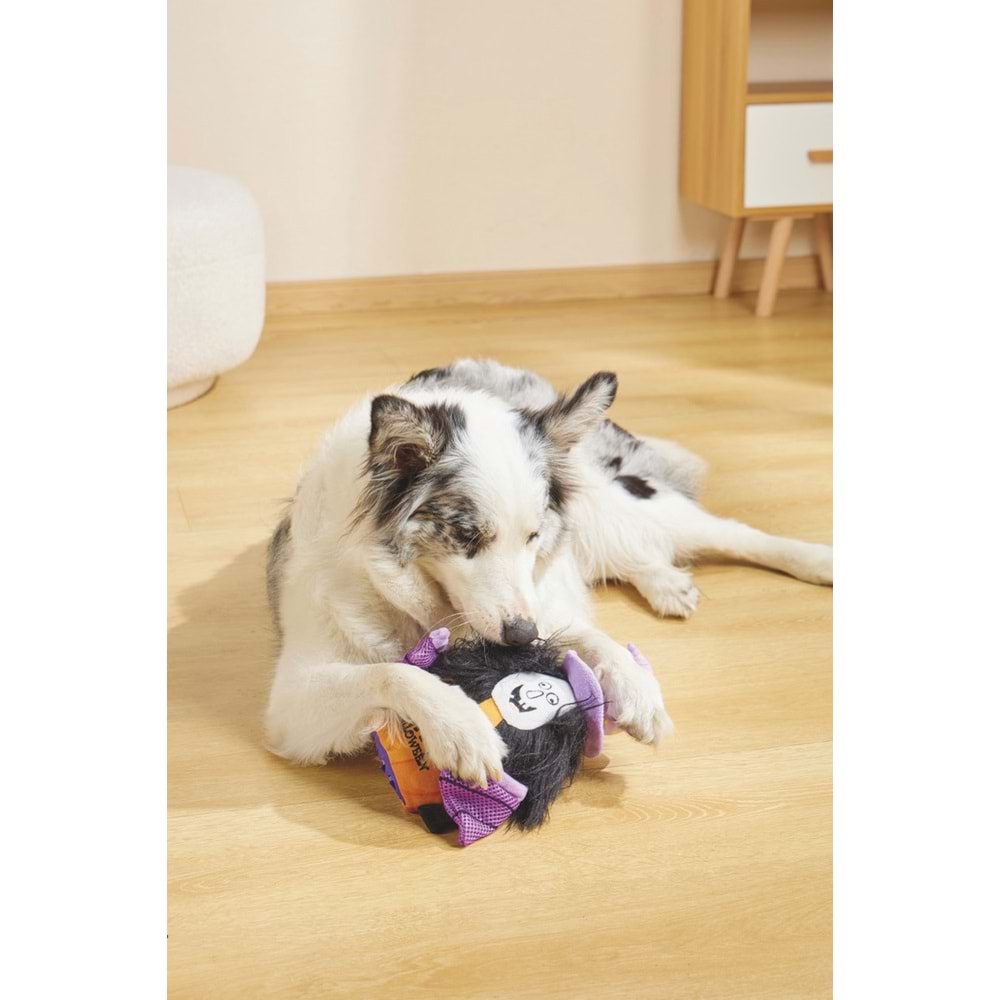 10659399 M-PETS HALLOWEEN WİTCH SNACK ATTACK KÖPEK OYUNCAĞI