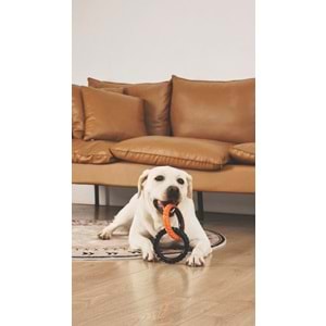 10660399 M-PETS RING KING KÖPEK OYUNCAĞI DOUBLE ORANGE/BLACK