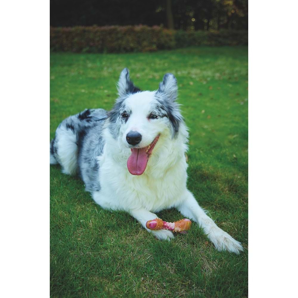 10661499 M-PETS CARNIVORE DOG TOY MEATY BONE (S) PASTIRMA AROMALI