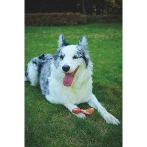 10661499 M-PETS CARNIVORE DOG TOY MEATY BONE (S) PASTIRMA AROMALI