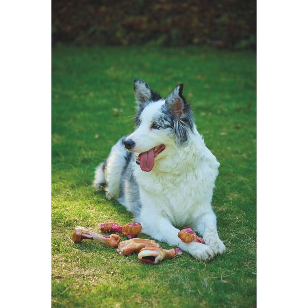 10661499 M-PETS CARNIVORE DOG TOY MEATY BONE (S) PASTIRMA AROMALI