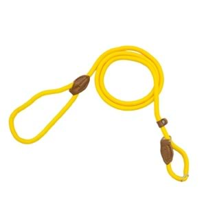 10721 ALLY PAWS COLLAR & LEASH (M) 10MMX150CM