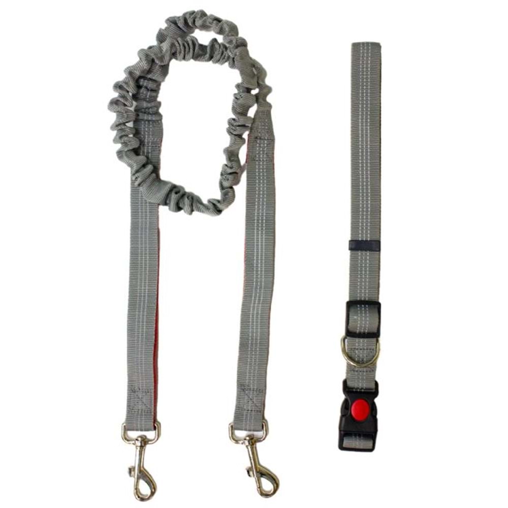 10726 ALLY PAWS KOŞU YÜRÜYÜŞ KAYIŞI (XL) 25MMX125-175CM