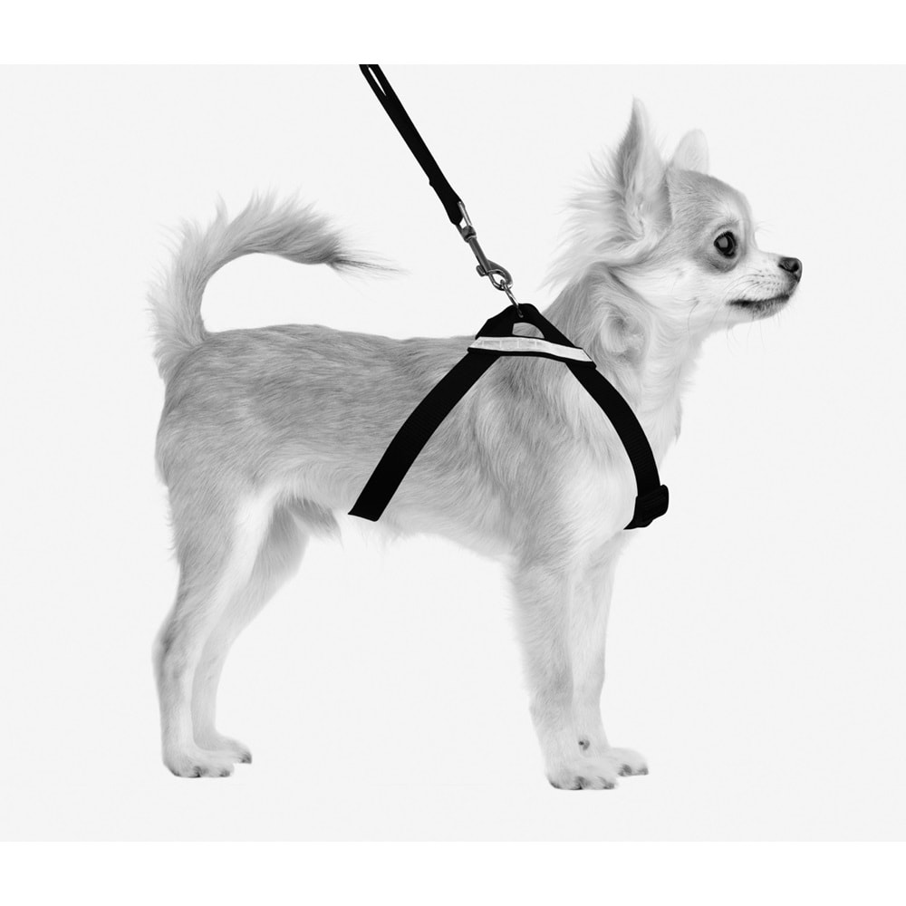 10811399 M-PETS SECURA 2IN1 GÖĞÜS TASMASI (L)
