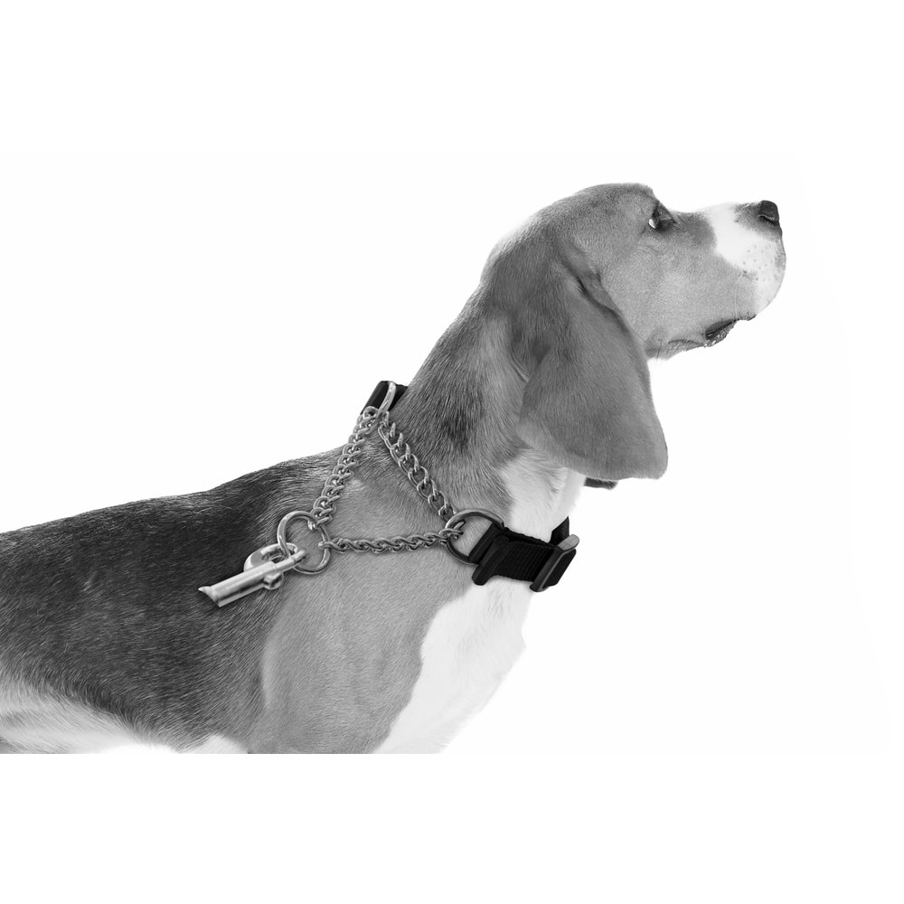 10811599 M-PETS KOMBI 2IN1 EĞİTİM TASMASI (XS)