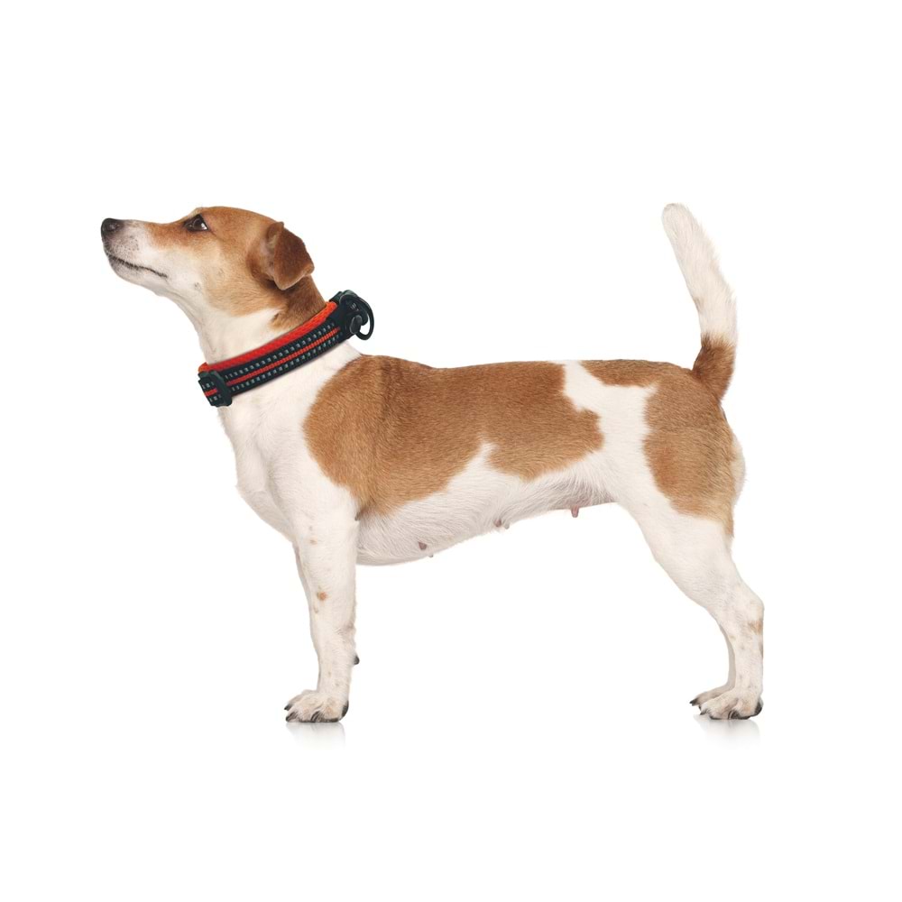 10817999 M-PETS HIKING REFLEKTÖRLÜ BOYUN TASMASI BLACK (XL)