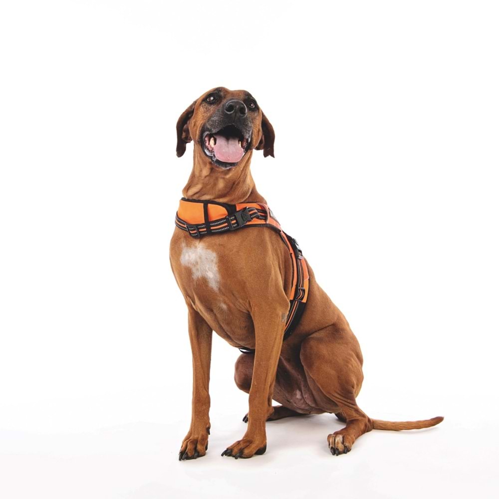 10818899 M-PETS HIKING REFLEKTÖRLÜ SOFT GÖĞÜS TASMASI ORANGE (XL)