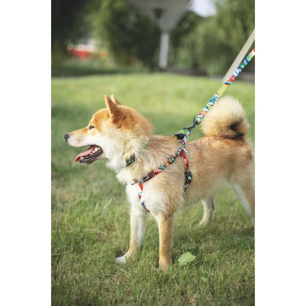 10834799 M-PETS URBAN STYLE FREESTYLE GEZDİRME (M)