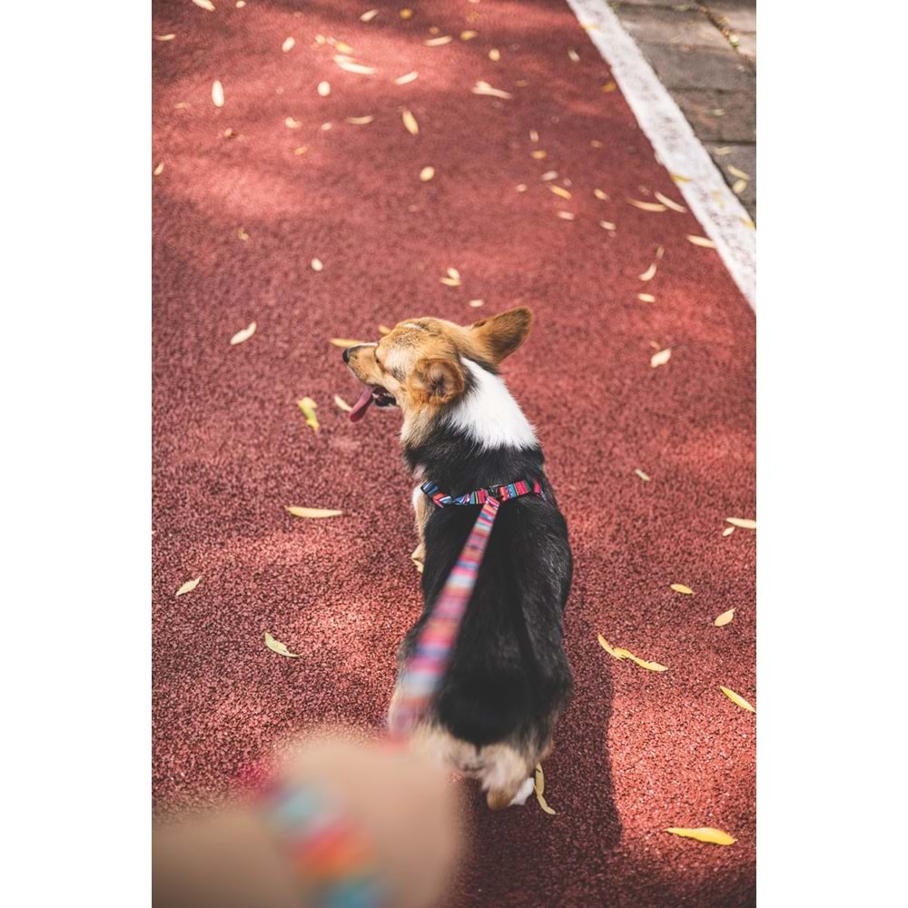 10836099 M-PETS URBAN STYLE JAZZ STRIPES GEZDİRME (L)
