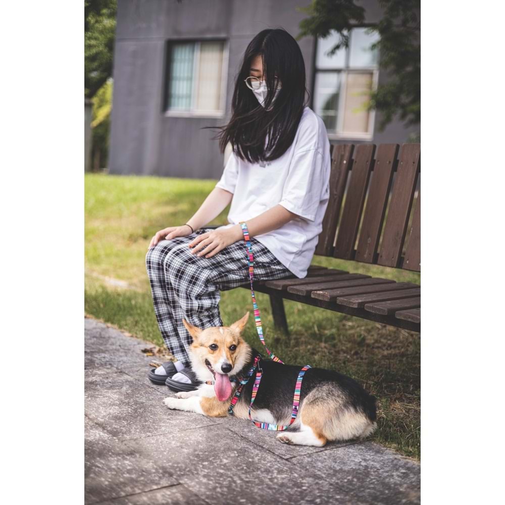10836099 M-PETS URBAN STYLE JAZZ STRIPES GEZDİRME (L)