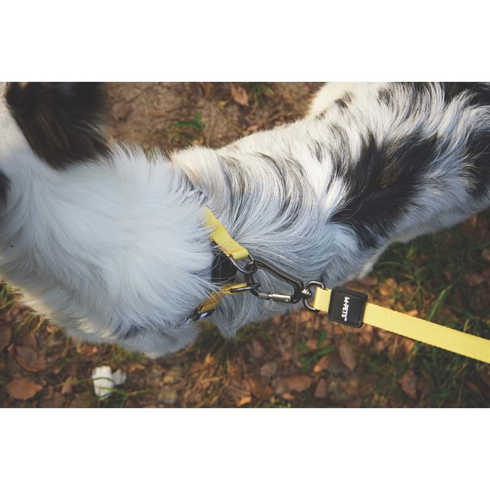 10836899 M-PETS WILD SAFARI LEASH REGULAR (S-M)