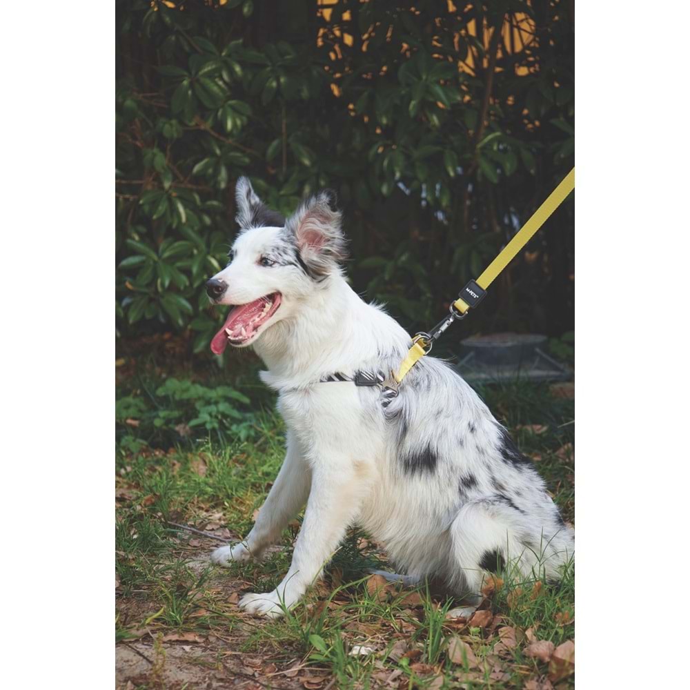 10837499 M-PETS WILD SAFARI HARNESS (XS)