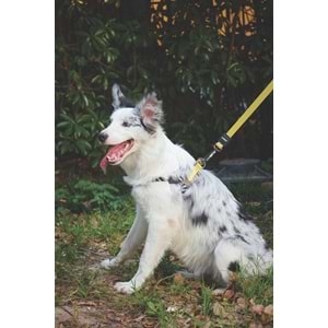 10837499 M-PETS WILD SAFARI HARNESS (XS)