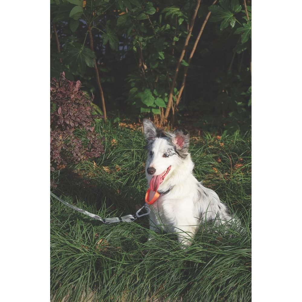 10838099 M-PETS WILD JUNGLE LEASH TRAVEL (L-XL)