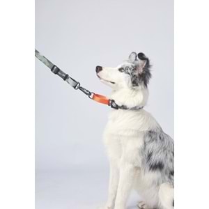 10838099 M-PETS WILD JUNGLE LEASH TRAVEL (L-XL)