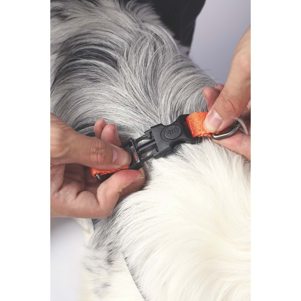 10839099 M-PETS WILD JUNGLE HARNESS (L)