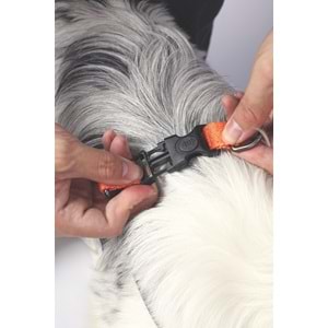 10839099 M-PETS WILD JUNGLE HARNESS (L)
