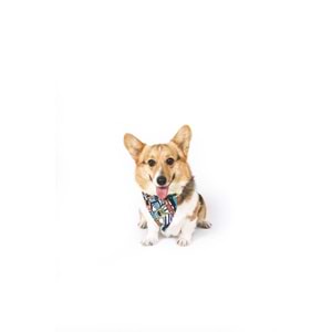 10839699 M-PETS URBAN STYLE FREESTYLE BANDANA COLLAR (S)