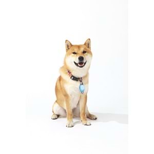 10840399 M-PETS LED JEWEL GÜVENLİK IŞIĞI BLUE