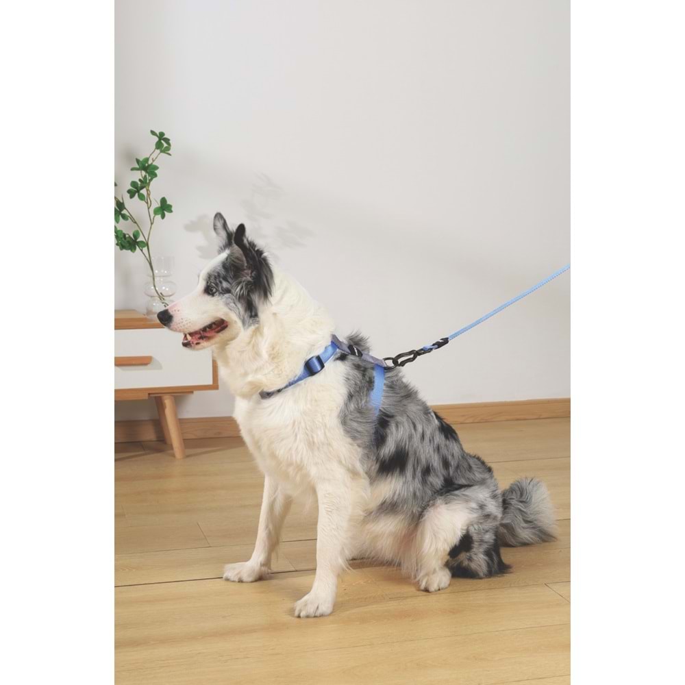 10845899 M-PETS GENTLE DOG GÖĞÜS TASMASI BLUE (XS)