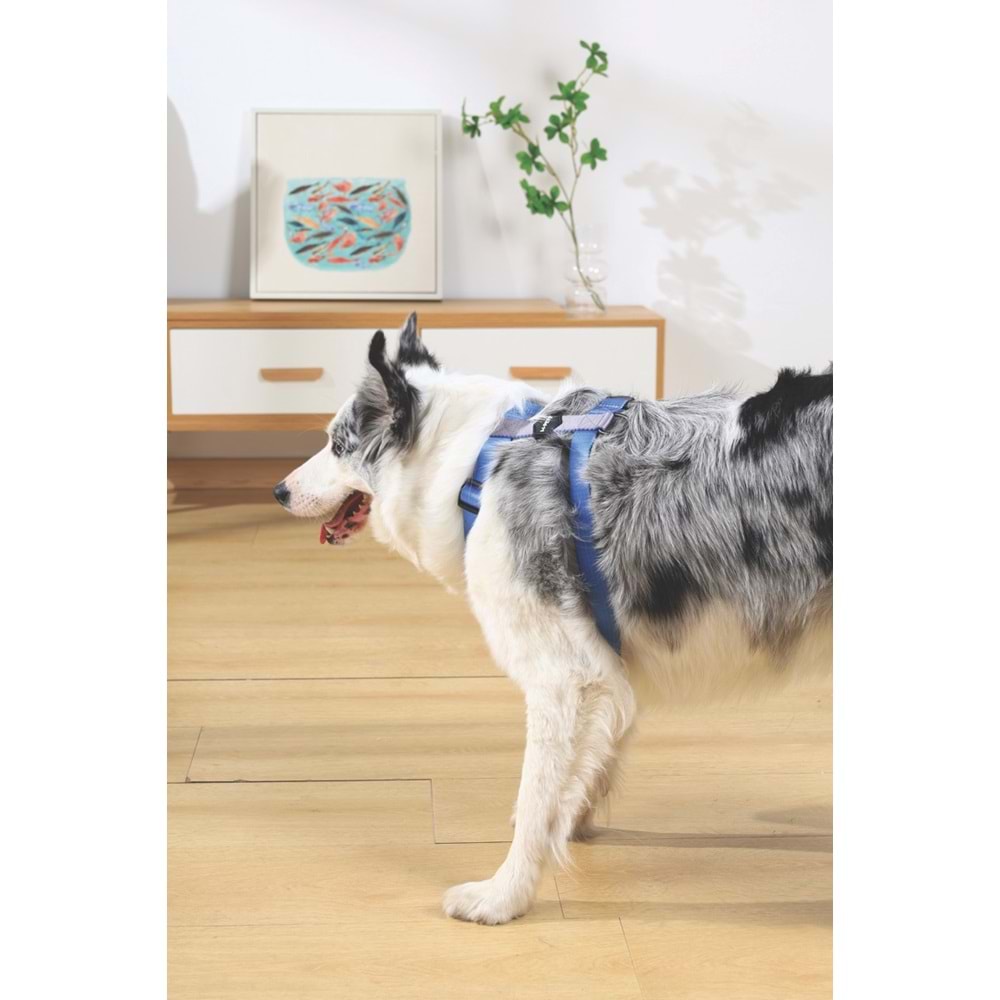 10845899 M-PETS GENTLE DOG GÖĞÜS TASMASI BLUE (XS)