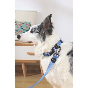 10848299 M-PETS GENTLE DOG GEZDİRME KAYIŞI (XS) BLUE
