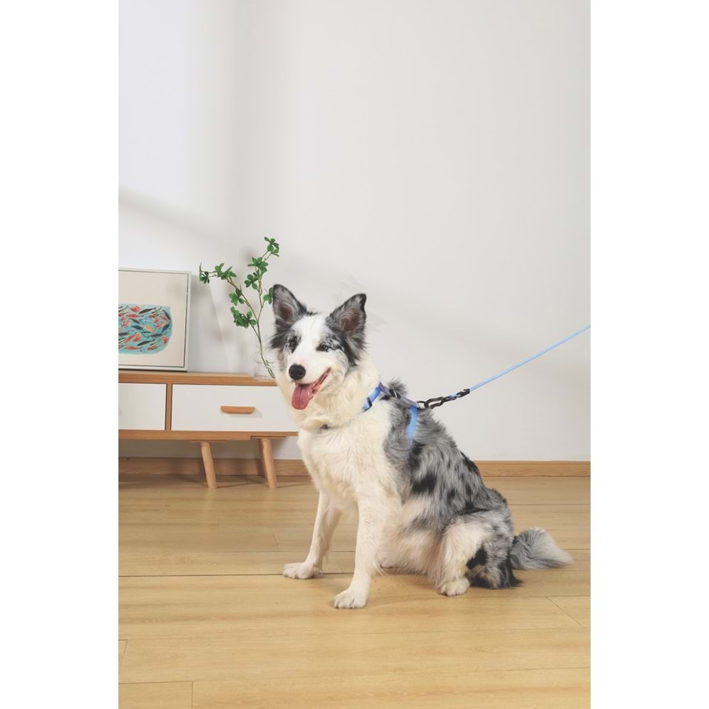 10848299 M-PETS GENTLE DOG GEZDİRME KAYIŞI (XS) BLUE