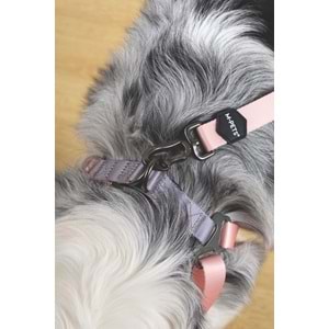 10848799 M-PETS GENTLE DOG GEZDİRME KAYIŞI (S) PİNK