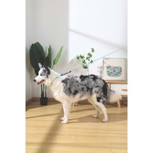 10849299 M-PETS GENTLE DOG GEZDİRME KAYIŞI (M) GREEN