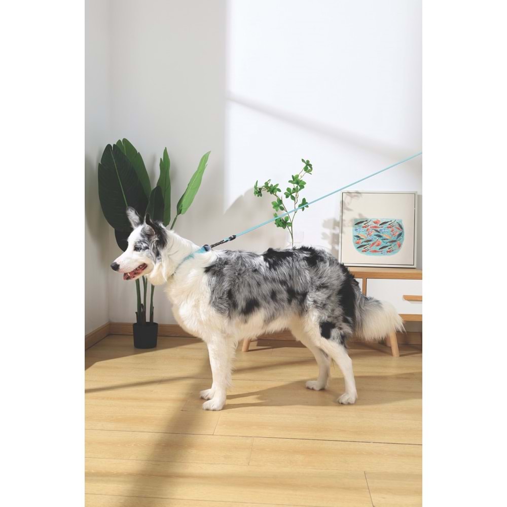 10849399 M-PETS GENTLE DOG GEZDİRME KAYIŞI (L) GREEN