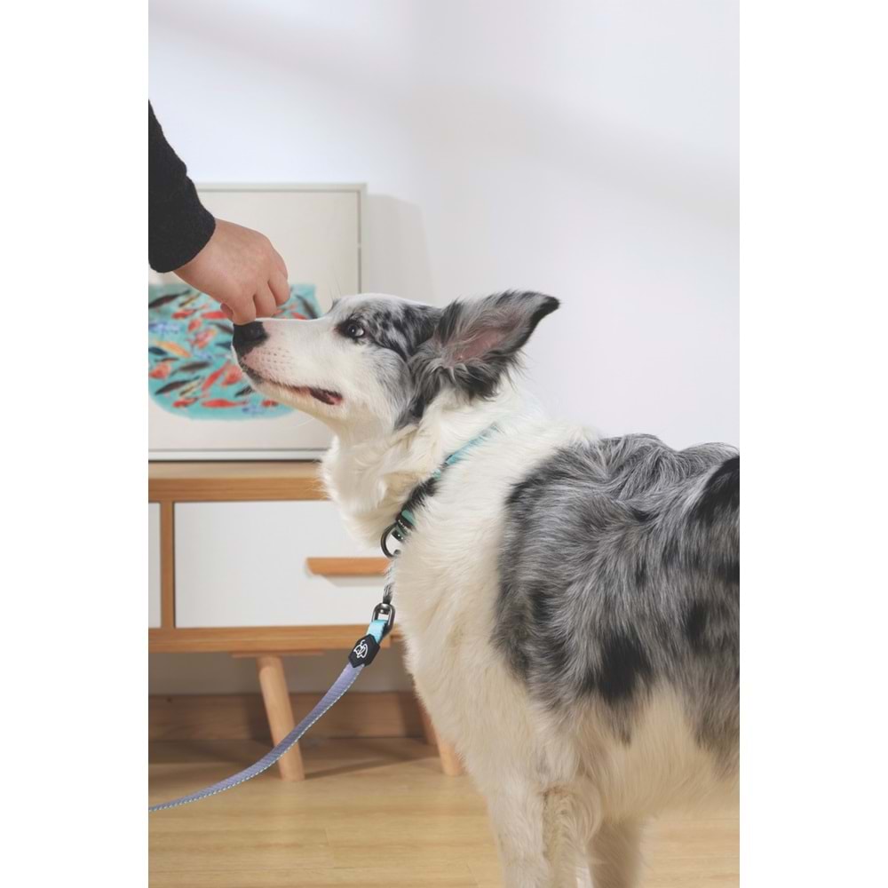 10849399 M-PETS GENTLE DOG GEZDİRME KAYIŞI (L) GREEN