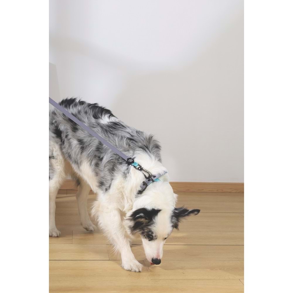 10849399 M-PETS GENTLE DOG GEZDİRME KAYIŞI (L) GREEN