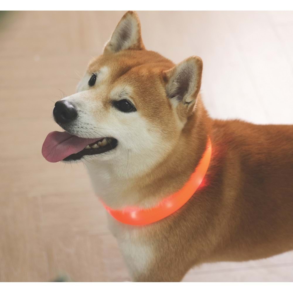 10855899 M-PETS FLASH LED BOYUN TASMA ORANGE (L)