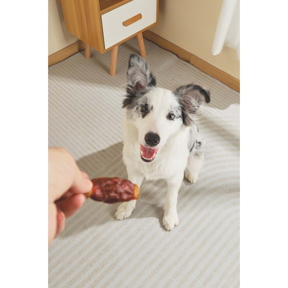 19041499-M-PETS BBQ KINGS LEG ROASTS CHICKEN ÖDÜL 70GR