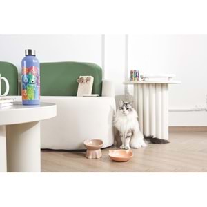 20502399 M-PETS PETJOY SERAMİK MAMA KABI 200ML