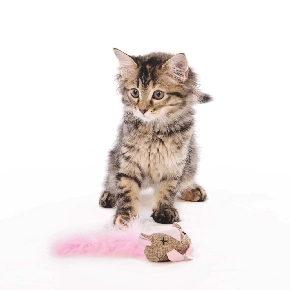 20600699 M-PETS MOUSE KEDİ OYUNCAĞI MİX COLOR
