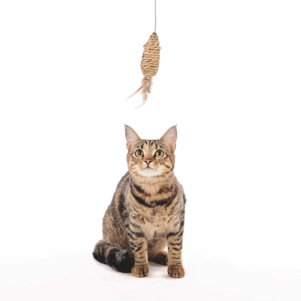 20601699 M-PETS NATURA KEDİLER İÇİN OLTA OYUNCAK