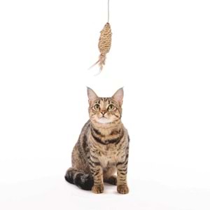 20601699 M-PETS NATURA KEDİLER İÇİN OLTA OYUNCAK