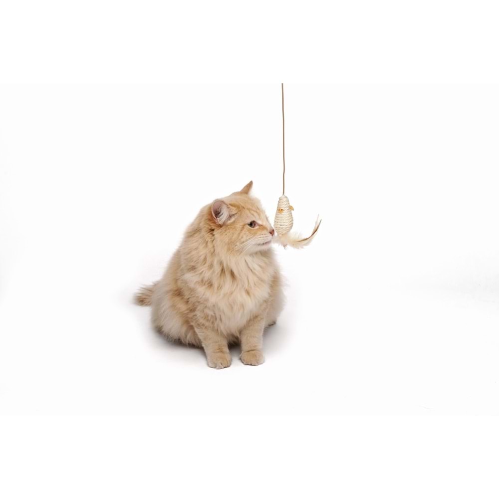 20601699 M-PETS NATURA KEDİLER İÇİN OLTA OYUNCAK
