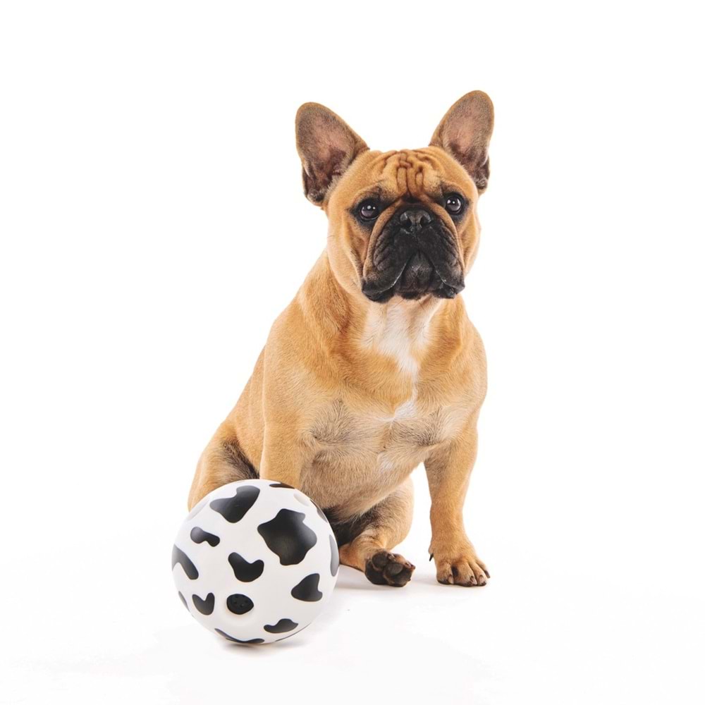 20635299 M-PETS INTERACTİVE BALL KÖPEK OYUN TOPU