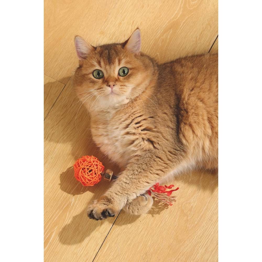 20640199 M-PETS CHARMY AMULET MATATABİ KEDİ OYUNCAĞI ORANGE