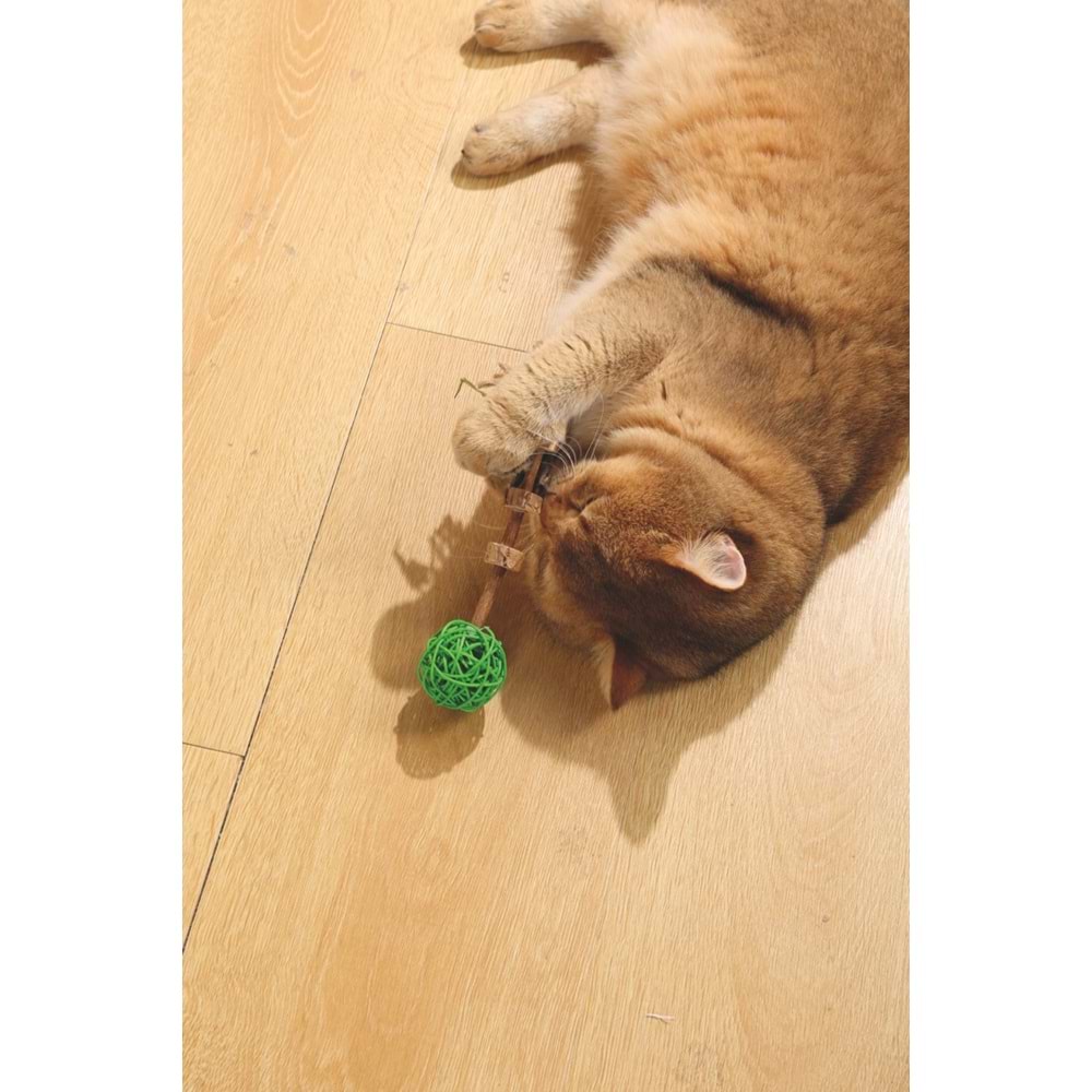 20640399 M-PETS CHARMY AMULET MATATABİ KEDİ OYUNCAĞI GREEN