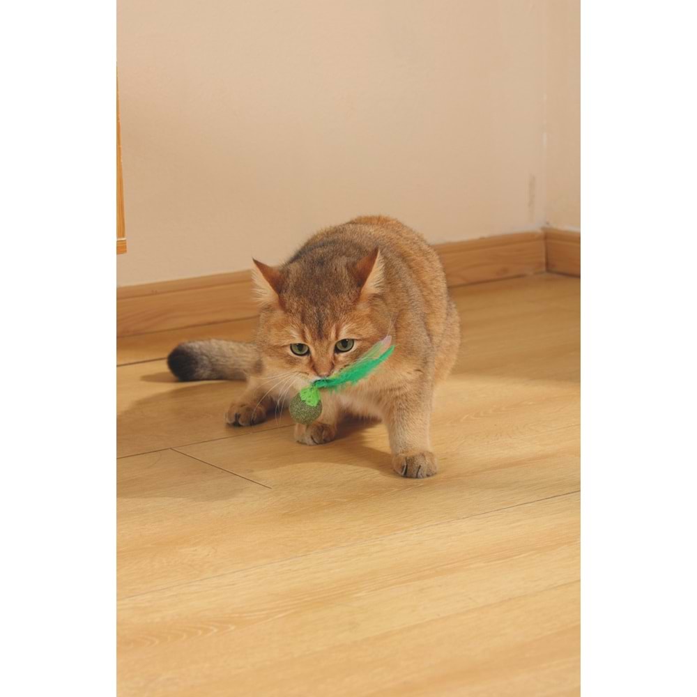 20640499 M-PETS CHARMY FIREFLY CATNİPLİ KEDİ OYUNCAĞI GREEN