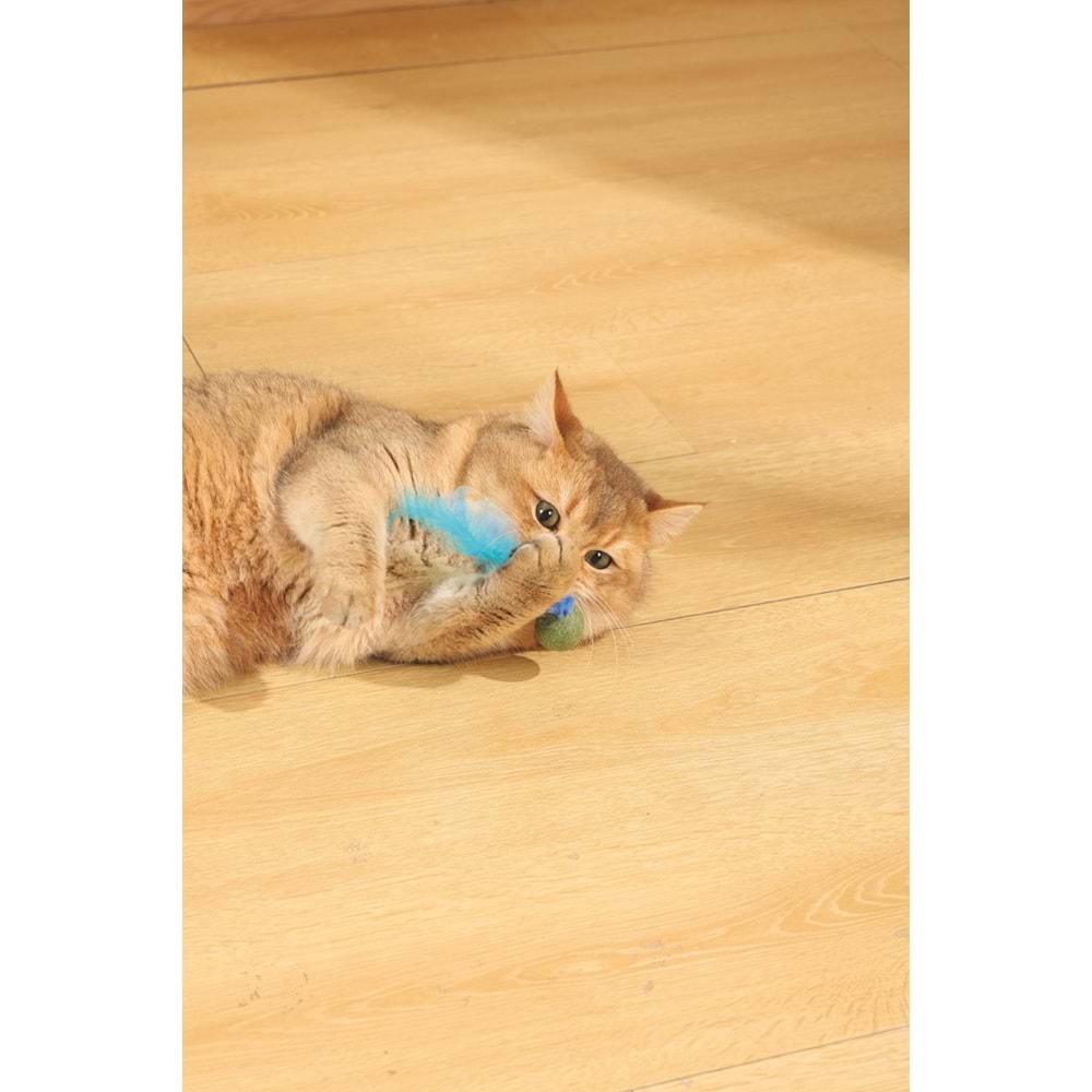 20640699 M-PETS CHARMY FIREFLY CATNİPLİ KEDİ OYUNCAĞI BLUE